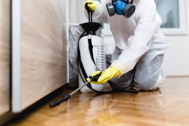 Best Rat Extermination Near Me  in Garden City South, NY
