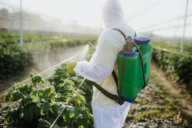 Garden City South, NY Pest Control Company